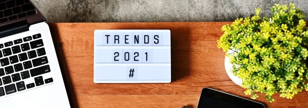 google trends